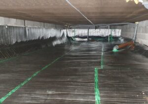 Hur undviker du mögel med rätt avfuktningsteknik?