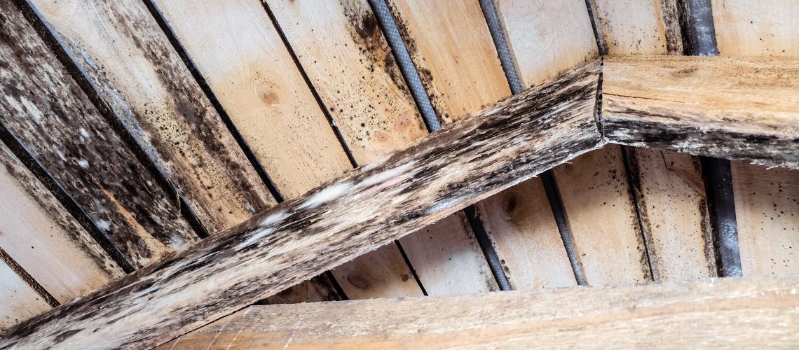 Rotting due to humidity and growth of molds  wooden roof structures